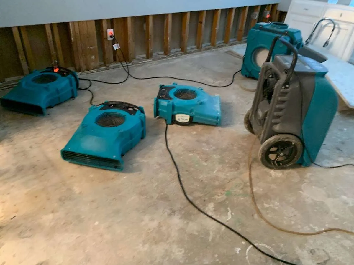 Water Damage Restoration services in Delphos, OH